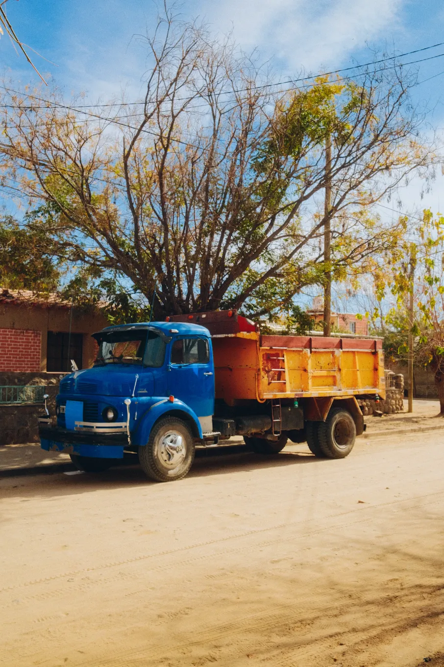 a truck parked in front of a tree
